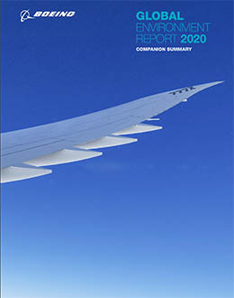 2020年全球环境报告封面。