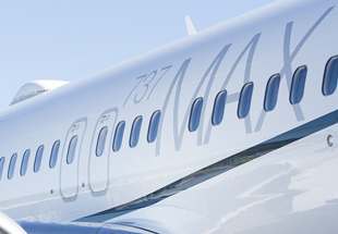 波音737飞机的照片。williamhill